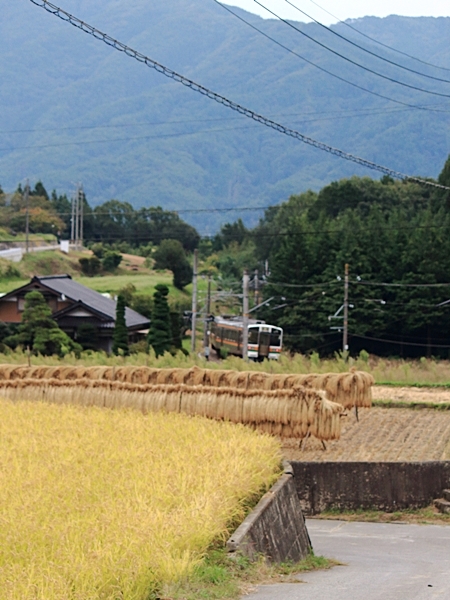 秋の飯田線を追って　ローカル線の風景　（９/２７撮影）　2017/9/27_d0129921_054846.jpg