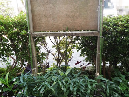公明看板の使命の終わり_b0312424_18261533.jpg