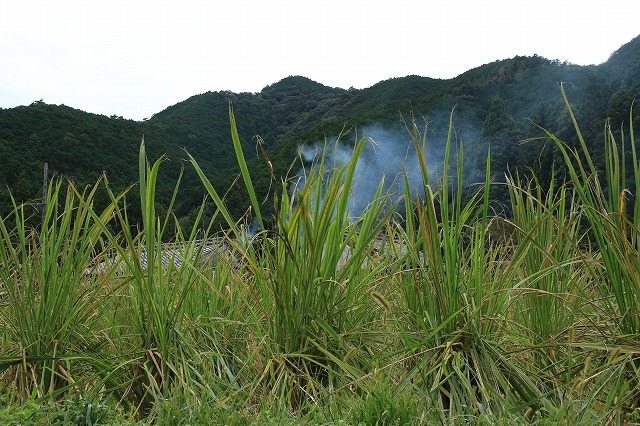 e0321325_17051784.jpg