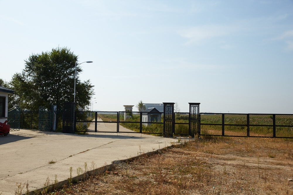 d0139939_1437620.jpg