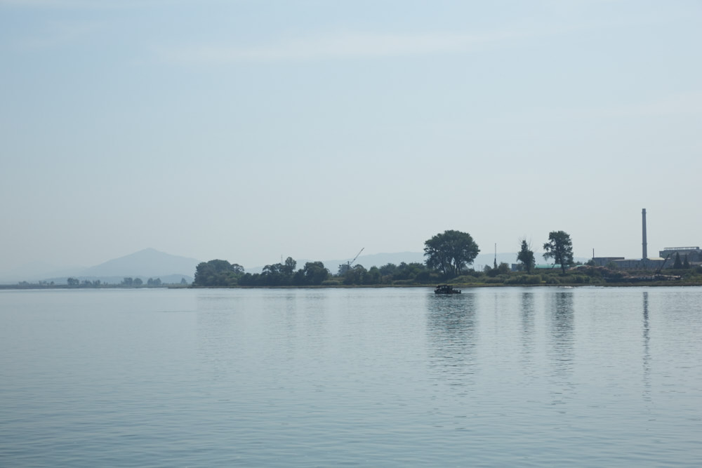 d0139939_14533941.jpg