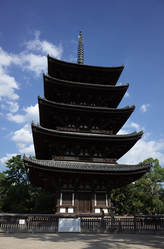 若草山～春日大社～興福寺_f0172550_03100858.jpg