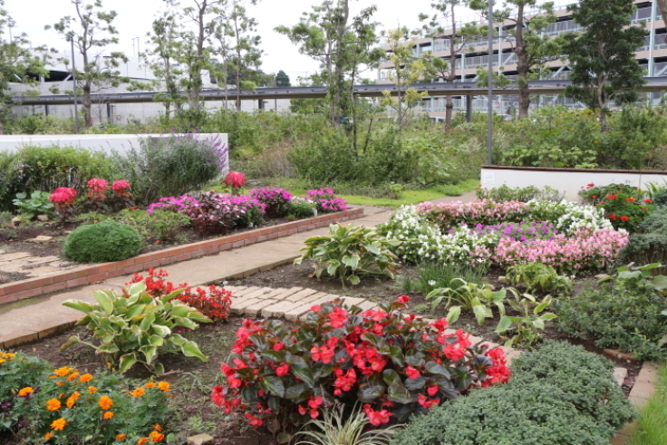 17年９月末のマンション花壇 ニッキーののんびり気まま暮らし