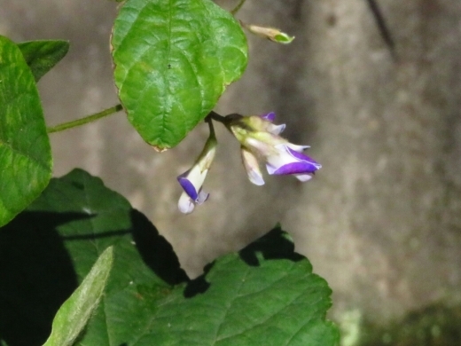 a0018655_14534942.jpg