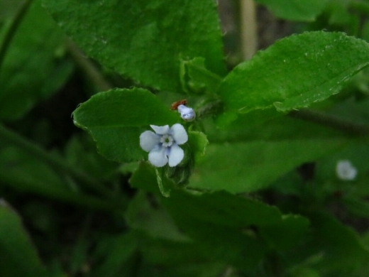 a0018655_14540440.jpg
