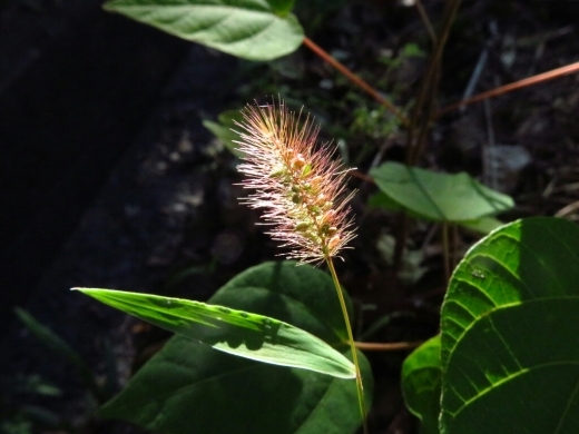 a0018655_14542155.jpg