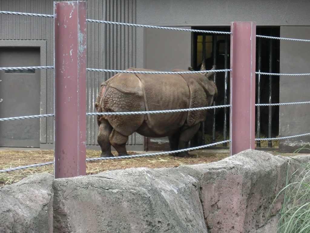 e0266067_22280528.jpg