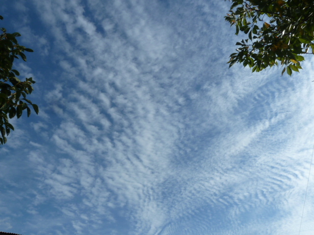 e0278968_21443232.jpg