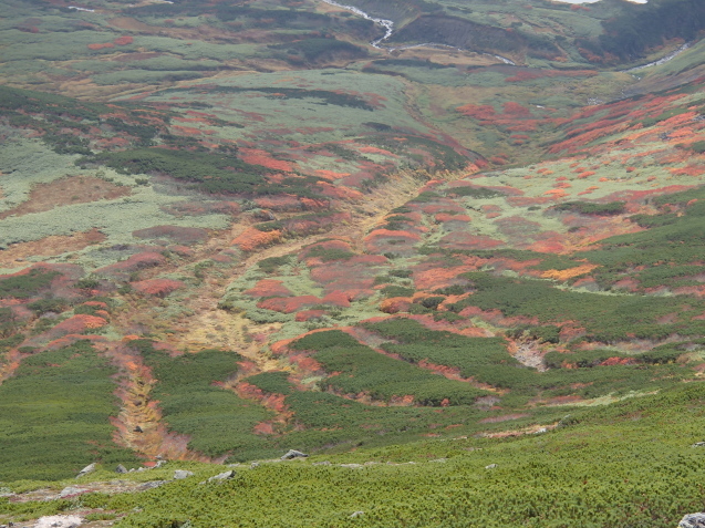f0130376_10133845.jpg
