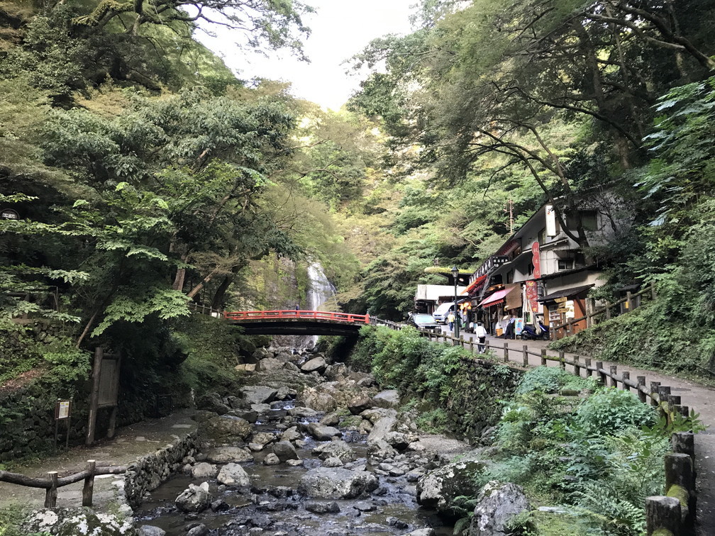 カフェOWLと伊丹スカイパークと箕面スパーガーデン_b0184877_17241113.jpg