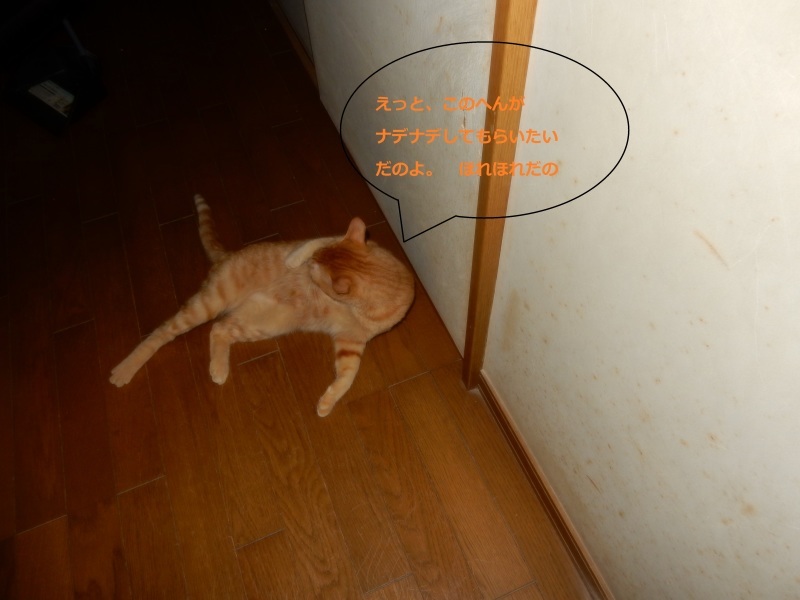 e0355177_15024418.jpg