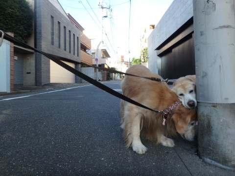 f0052277_01361743.jpg
