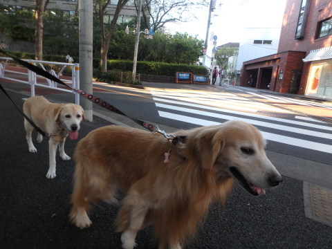 f0052277_01413401.jpg
