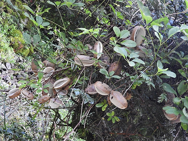 f0357487_23131795.jpg