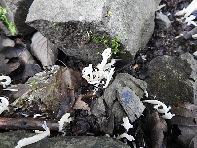 f0357487_23215769.jpg