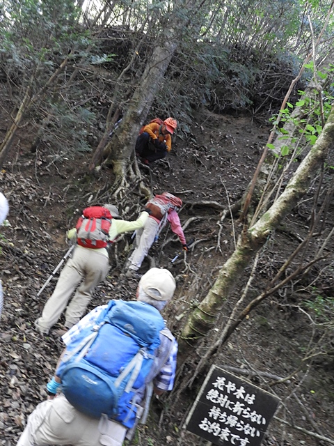 天主山へ、鴨猪登山口から、29日_f0357487_2323129.jpg