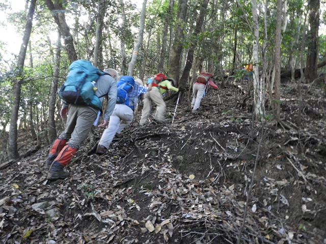 天主山へ、鴨猪登山口から、29日_f0357487_23252261.jpg