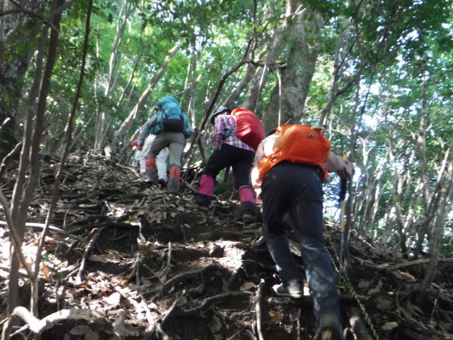 天主山へ、鴨猪登山口から、29日_f0357487_23264987.jpg