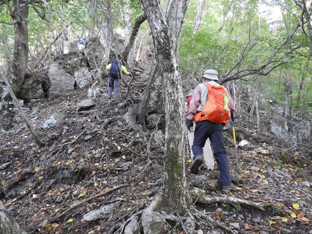 天主山へ、鴨猪登山口から、29日_f0357487_23361790.jpg