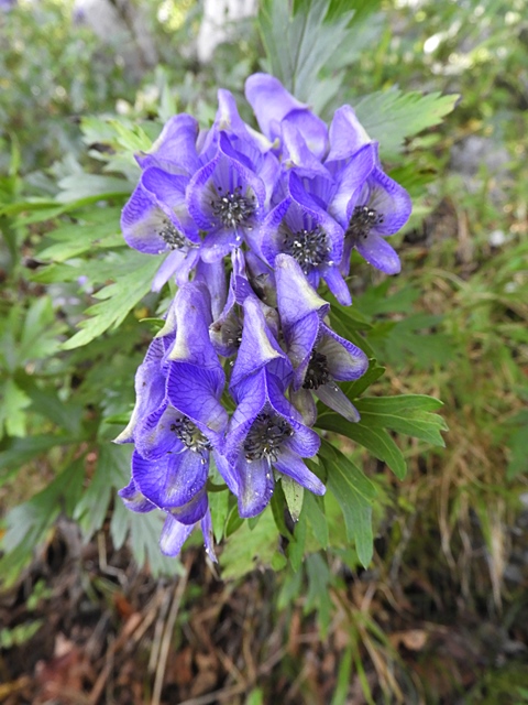 f0357487_23432656.jpg