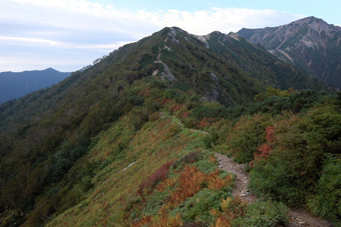 b0339488_21520821.jpg