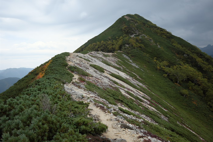 b0339488_21543458.jpg