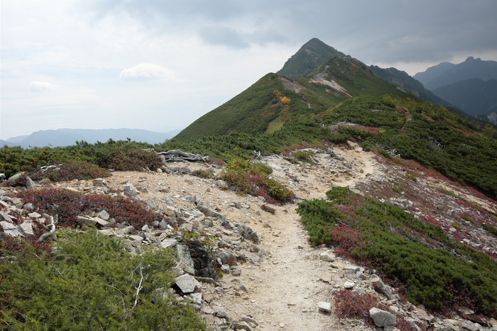 b0339488_21543499.jpg