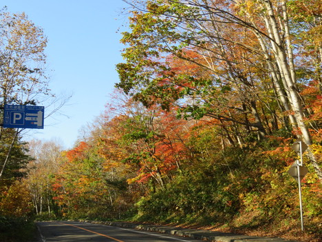 c0171889_1824513.jpg