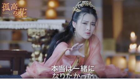中国ドラマ 孤高の花 General I Dvd 全62話 日本語字幕 激安dvd通販 中国ドラマ 孤高の花 General I Dvd 全62話 日本語字幕 激安dvd通販