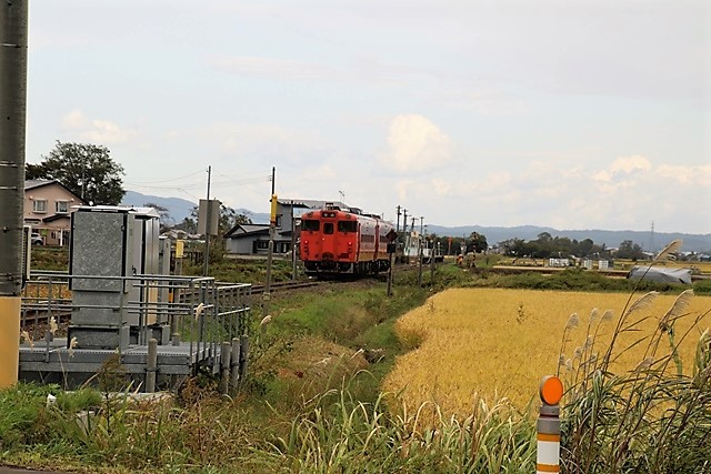 d0181492_23160856.jpg