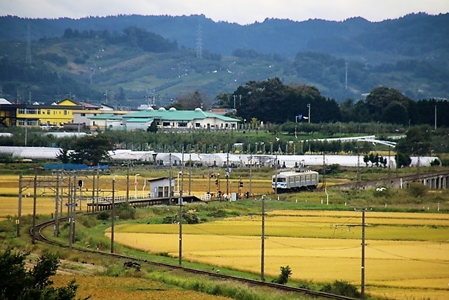 d0181492_23163786.jpg