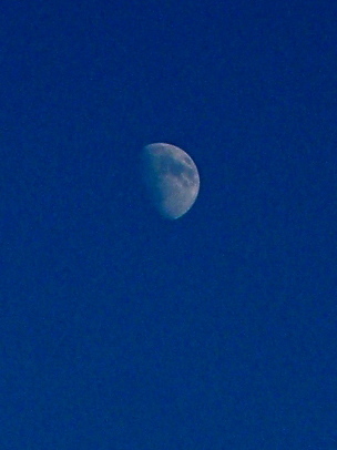 a0199297_23531643.jpg