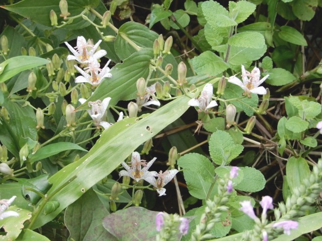 e0025300_20121712.jpg