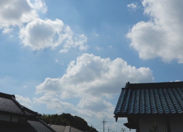 e0025300_2085872.jpg