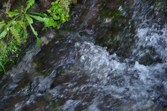 b0356401_07294096.jpg
