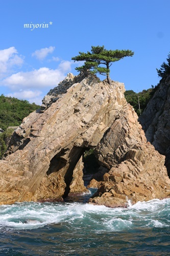 a0123003_12180181.jpg