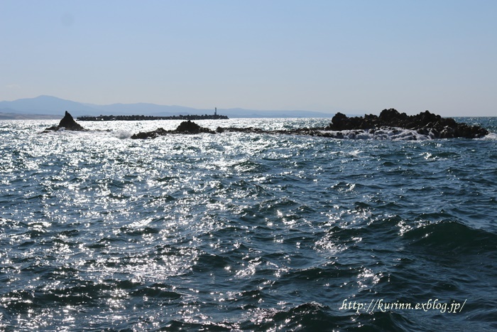 a0123003_12183394.jpg