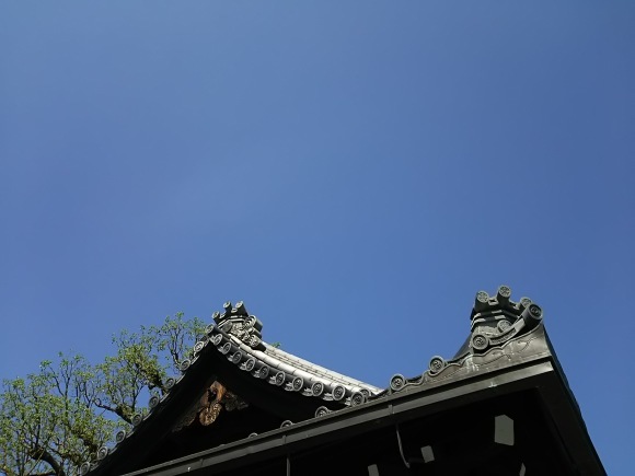 晴れ男?_b0329603_15495633.jpg