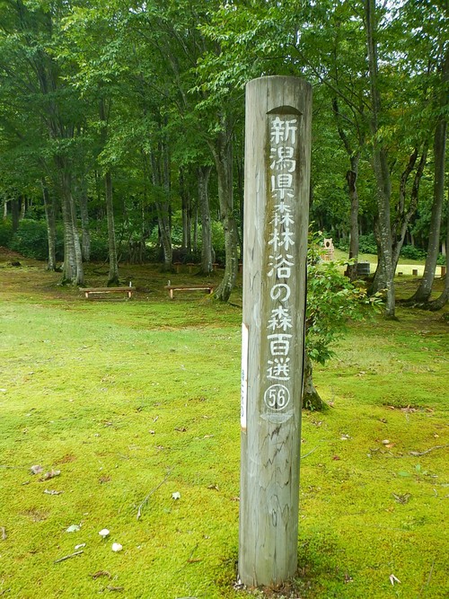 e0243008_1422204.jpg