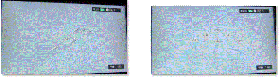 f0231709_00041703.gif