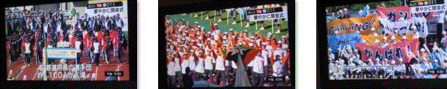 f0231709_00344990.gif