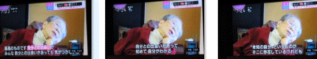 f0231709_13123800.gif