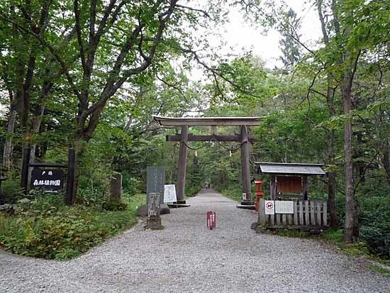 c0009413_22585801.jpg