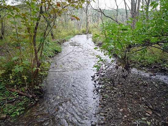 c0009413_23074845.jpg