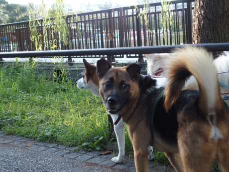 b0274815_10373000.jpg