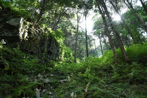 d0332816_17132237.jpg