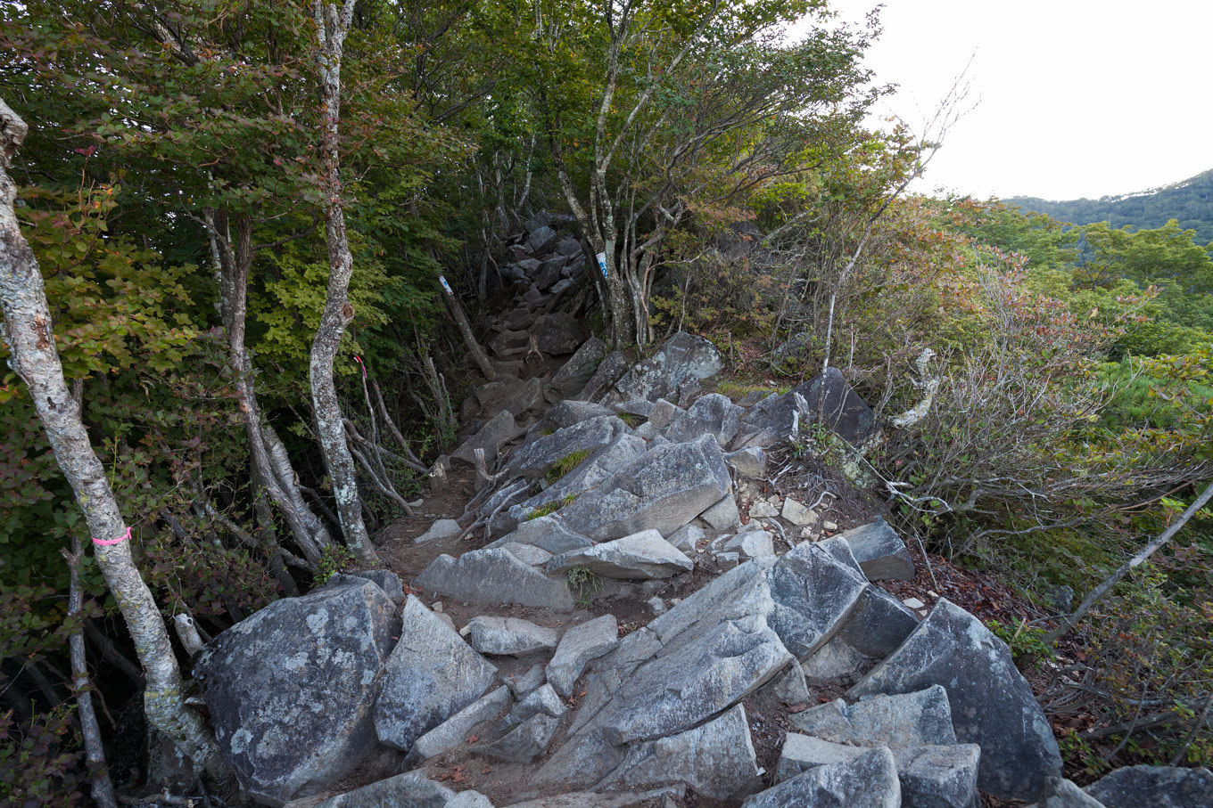c0369219_22271540.jpg