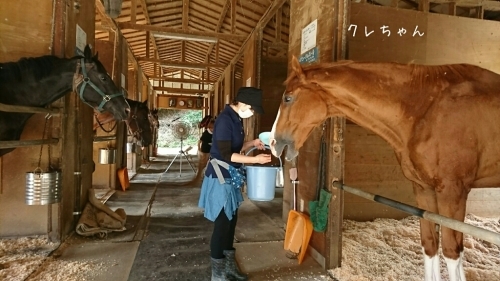 b0187620_19001023.jpg