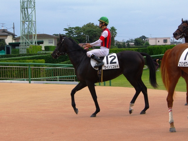 ウインリコルド2戦目_c0031227_10262371.jpg