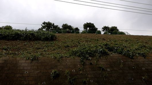 c0162128_13195890.jpg